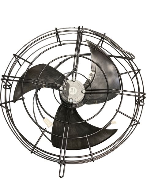 Fan